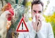 DSVSA Covasna, recomandări pentru prevenirea apariției focarelor de gripă aviară în județ