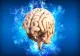 Cel mai bun aliment pentru sănătatea creierului: De ce îl recomandă neurologii
