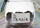 Răspunsul CRUCIAL al lui Marius Budăi la întrebarea: Cât ar trebui să fie pensia minimă în România pentru un trai decent