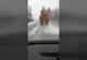 VIDEO Ninsori abundente în centrul țării