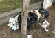 Zeci de cutii cu medicamente aruncate pe o stradă din Sfântu Gheorghe