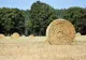 ITM Covasna a aplicat avertismente pentru nereguli de securitate în agricultură