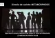 Tabăra de Teatru de la Întorsura Buzăului s-a încheiat cu succes: „Metamorphosis” a impresionat publicul