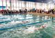 140 de înotători de la 9 cluburi participă la Cupa Sprint de la Sfântu Gheorghe
