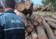 Peste 5 mc de lemn, confiscați joi de polițiștii covăsneni
