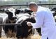 Au inceput inspecțiile medicilor veterinari în fermele covăsnene