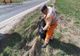 VIDEO Curățenia de primăvară în zona drumurilor naționale a demarat în forță în județul Covasna! 