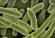 Apă contaminată cu E-Coli în Covasna